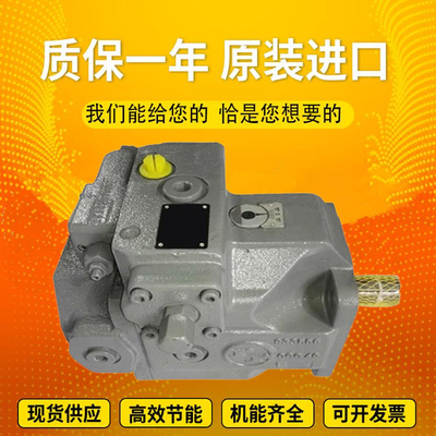 A4VSO125DRG/22R-PPB13N00		A4VSO125EO1/30R-PZB13N00 ExcavatorplungerpumpmotorRexroth